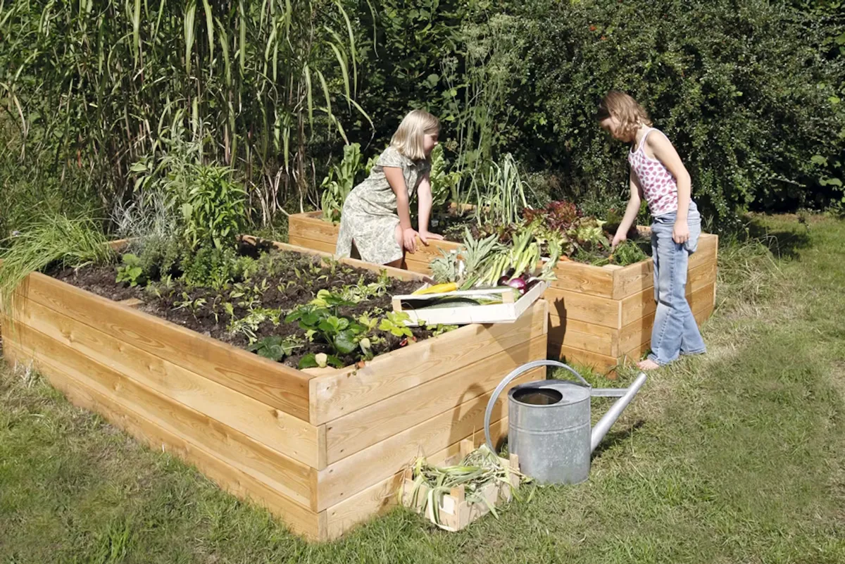 Plantera rätt för säsongen